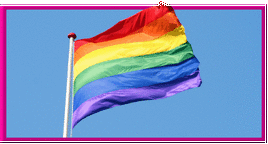 Homophobia Flag